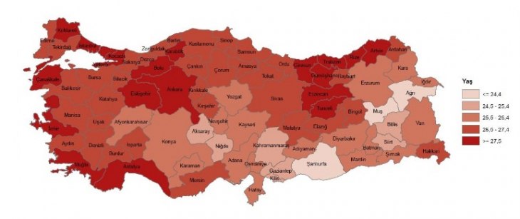 Türkiye doğurganlık verileri açıklandı! Bakın Siirt doğurganlık istatistiğinde kaçıncı sırada