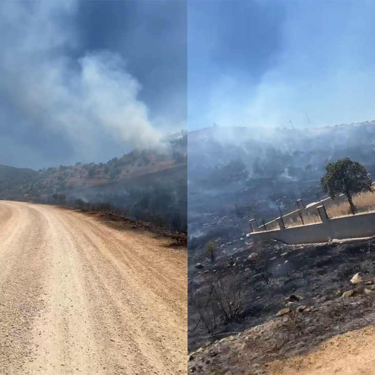Siirt Eğlence Köyünde Çıkan Yangın 2 Günde Kontrol Altına Alındı