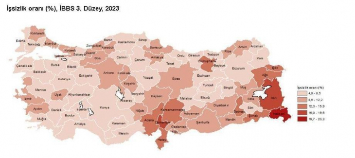 TÜİK İstatistiğinde Siirt Yine Sonuncu!