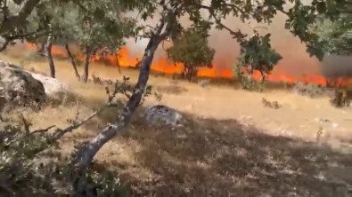 Siirt Eğlence Köyünde Çıkan Yangın 2 Günde Kontrol Altına Alındı