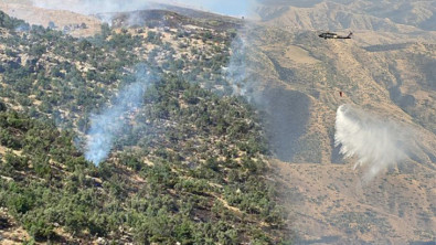 Siirt Şirvan'da Orman Yangını! Vali Kemal Kızılkaya'dan Açıklama