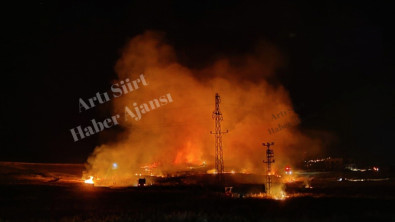 Siirt'te onlarca dönüm buğday tarlası yandı